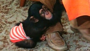 YnTwIpA1zhLSzpXhaTA9kgFizAeCwv-FBkhdV-7w