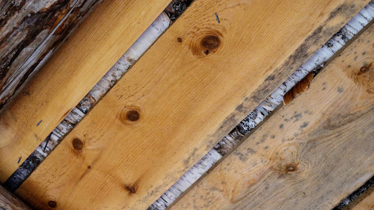 Bilder nevergutta i Heim