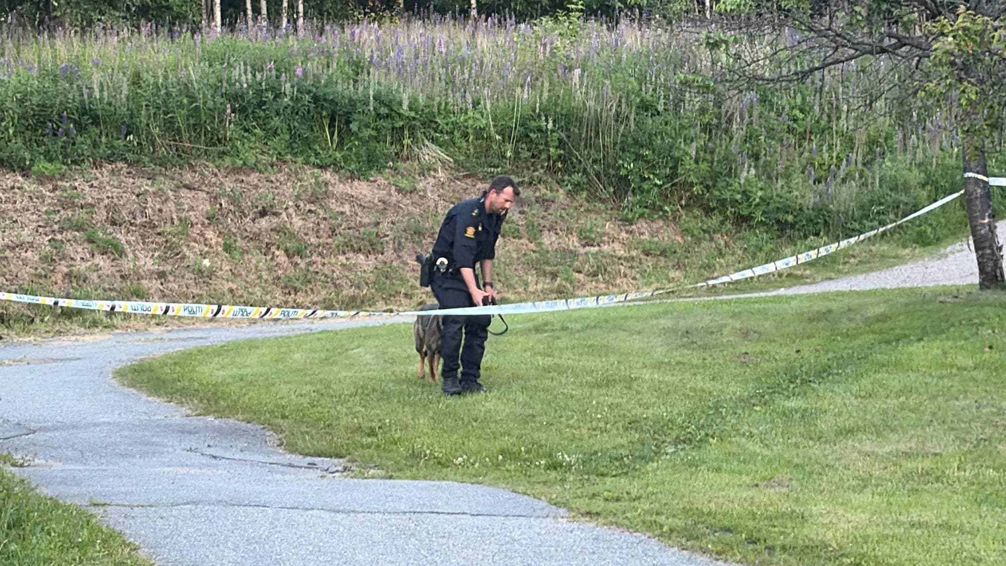 Politibetjent med hund ved et avsperret område i et park- eller skogsterreng. 