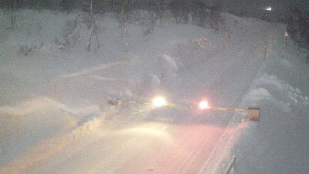 Kolonnekjøring på Haukeli og Hardangervidda – Siste nytt – NRK