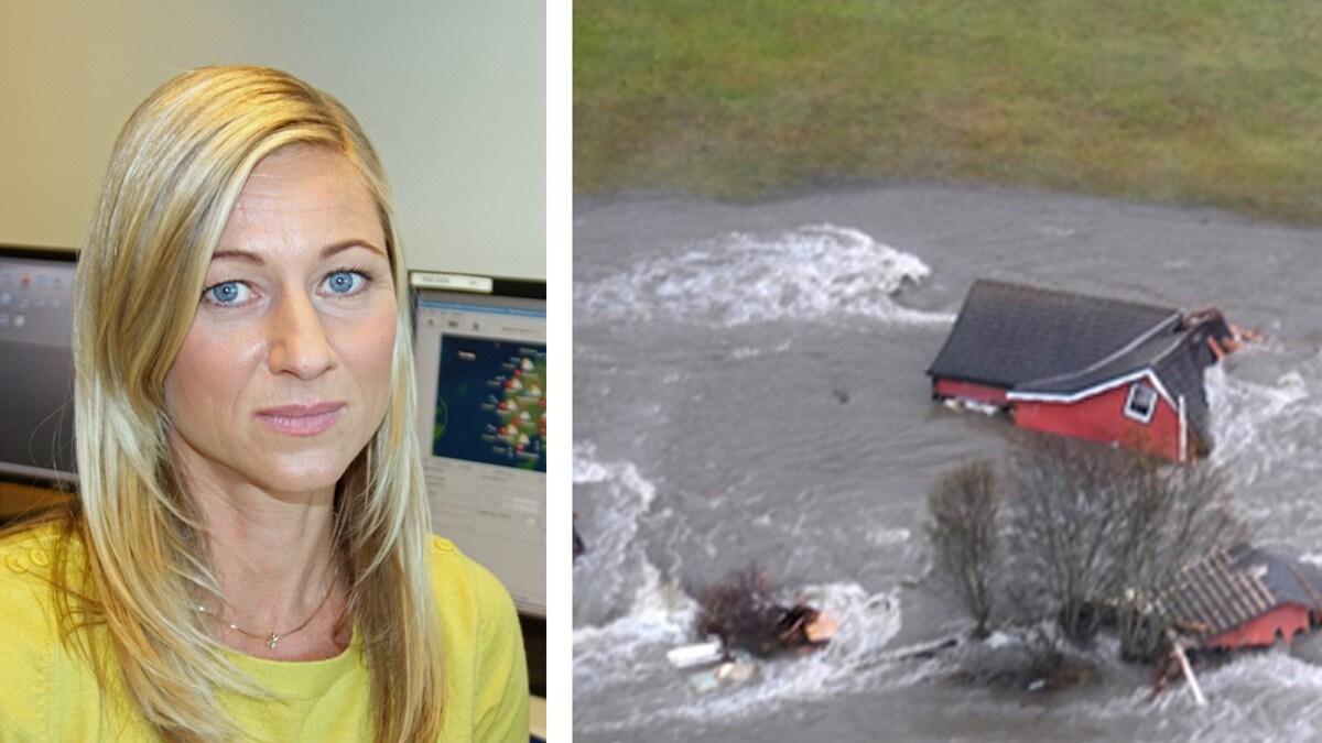 hvor er klitoris det som skjer det skjer hvor er klitoris det som skjer det skjer