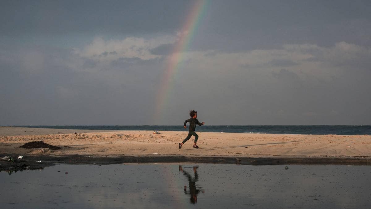 Spår halvering av drepte i verdens tre verste konflikter