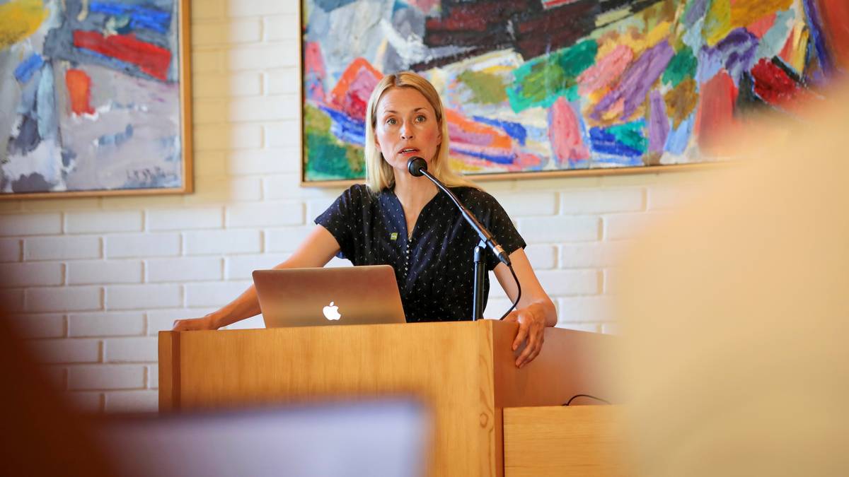Skal lede nasjonalt partiutvalg