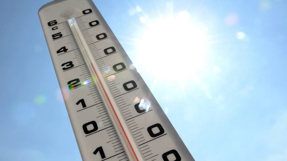 Hynnekleiv topper temperaturlista