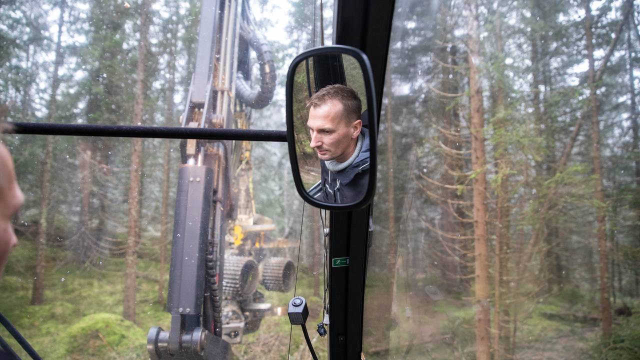 skog gran
maskinfører øyvind foss