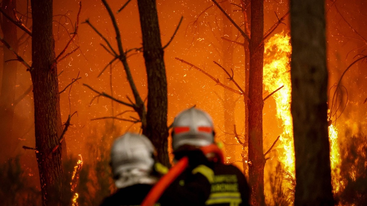 Derfor ble tømmerskogen en brannbombe