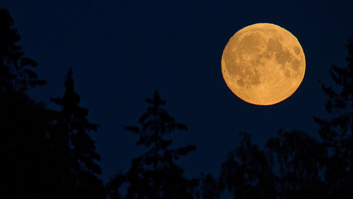 Se opp for b&aring;de mikrom&aring;ne og &laquo;blue moon&raquo;