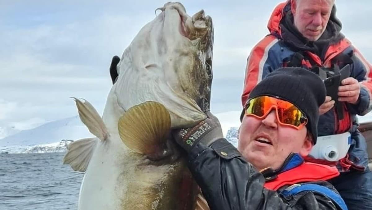 Festival fikk inn over 20 tonn fisk – nå vil fiskarlag begrense festivalfiske