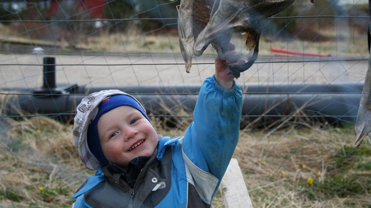 Adrian Hanssen som liten gutt, med tørrfisk hengende på hjeller.