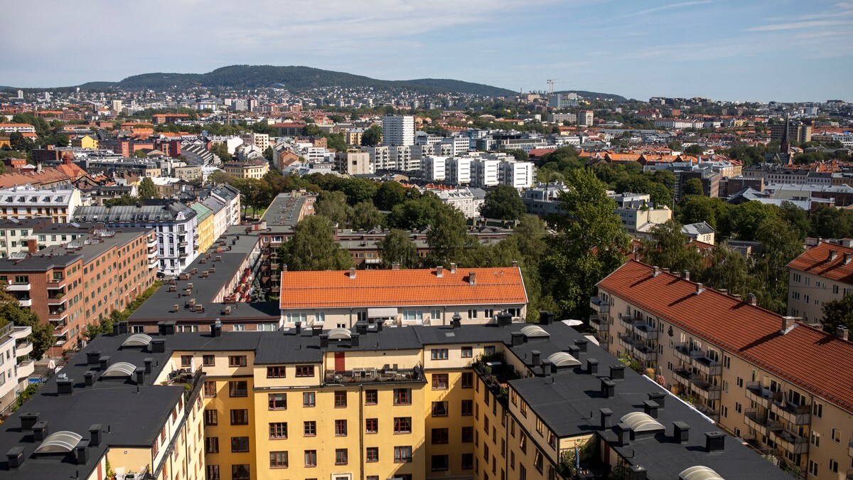 Et høyt utsiktsbilde over en by med mange boligblokker. Landskapet strekker seg mot en fjern åskam under en blå himmel med hvite skyer. Utsikten viser flere hustak med teglstein og takvinduer, samt grønne trær. (Bildebeskrivelsen er laget av en KI-tjeneste) FOTO: Hallgeir Braastad/NRK