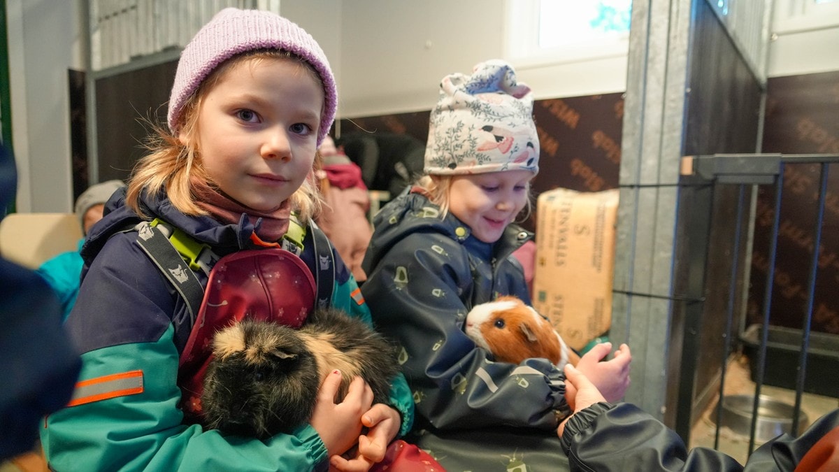 Vilde og Ida deler barnehagen med sau og gris: – Risikofylt leik er avgjerande for helsa