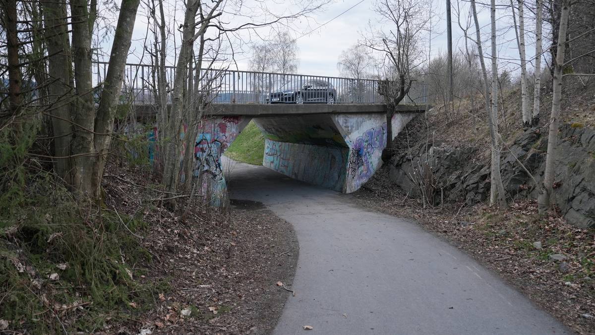 Mann siktet for åtte overfall