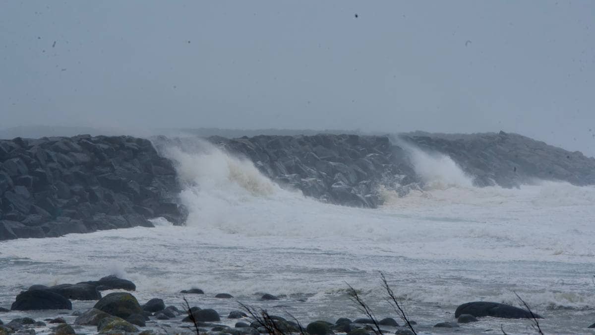 – Bedre enn forventet