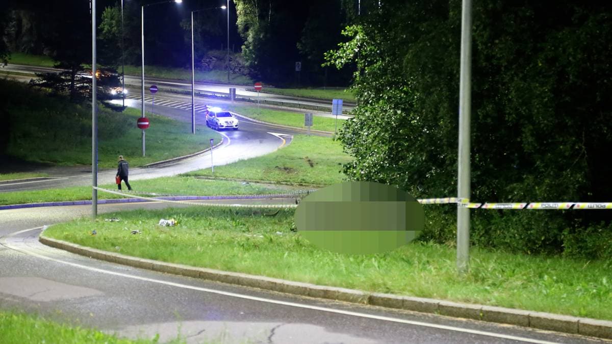 Sjåfør erkjenner straffskyld etter at Antoni (15) døde på E18