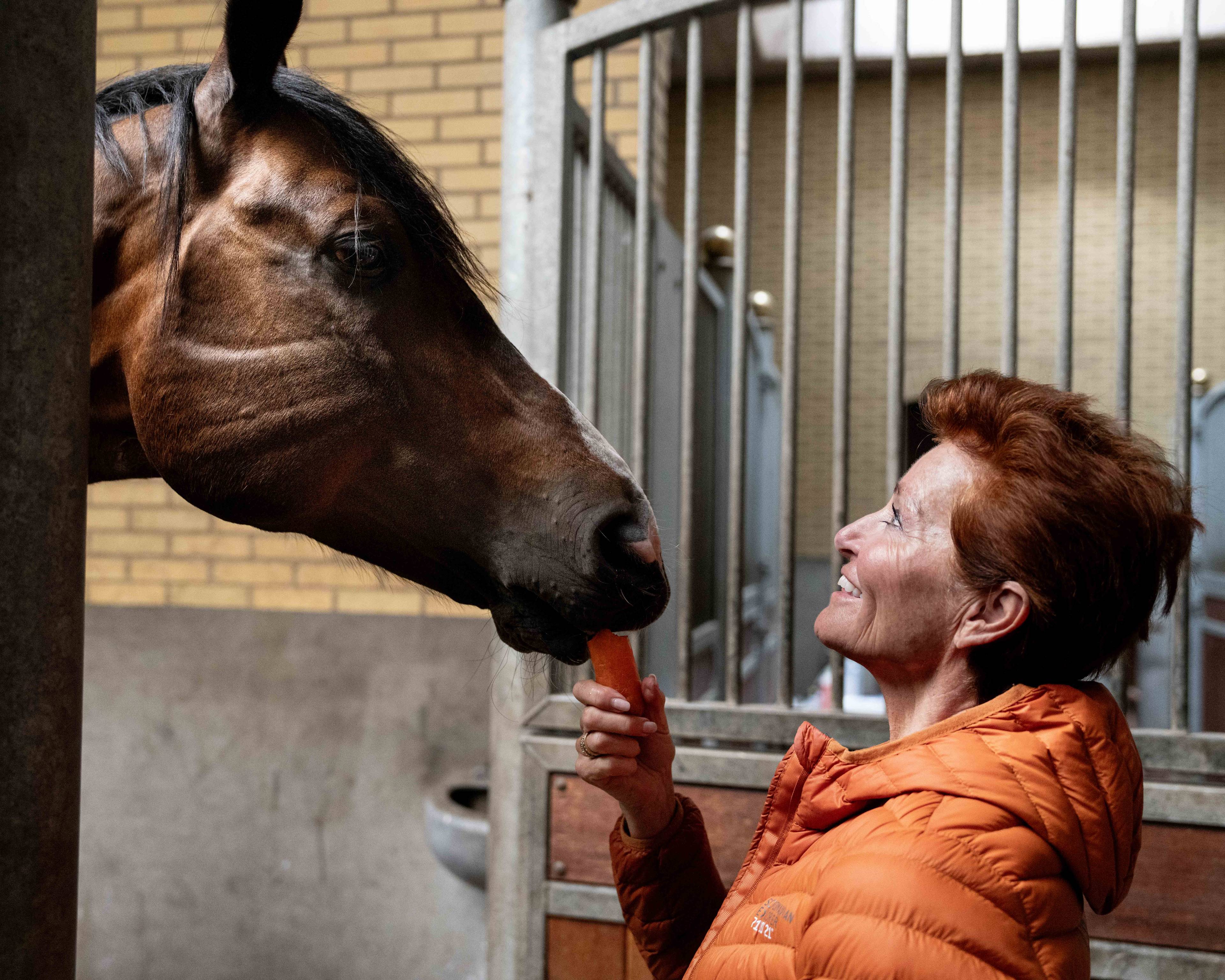 En person gir en hest en gulrot