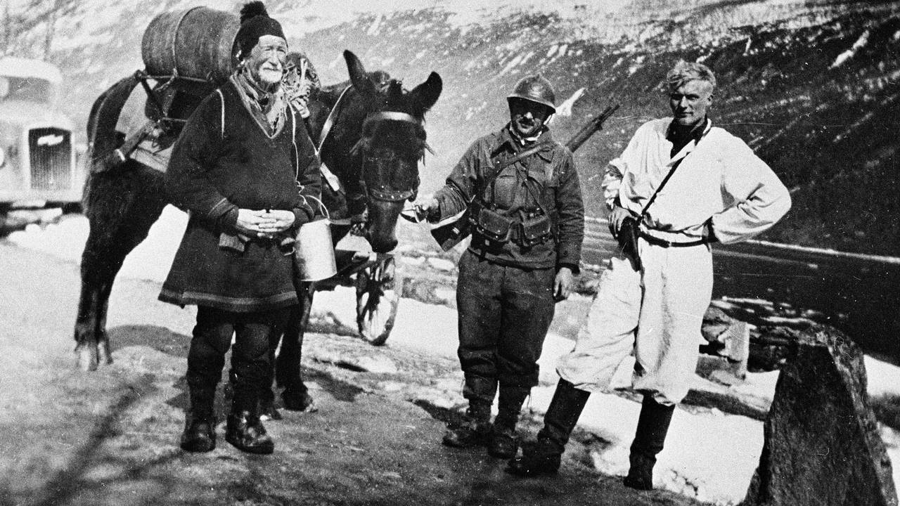 Alliert fransk alpejeger, med muldyr, under kampene ved Narvik.
