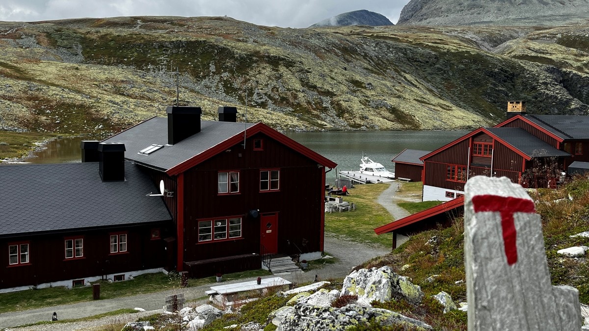 Vil stenge DNT-hytte for å redde villreinen: – Ingen menneskerett å køyre midt oppå høgfjellet