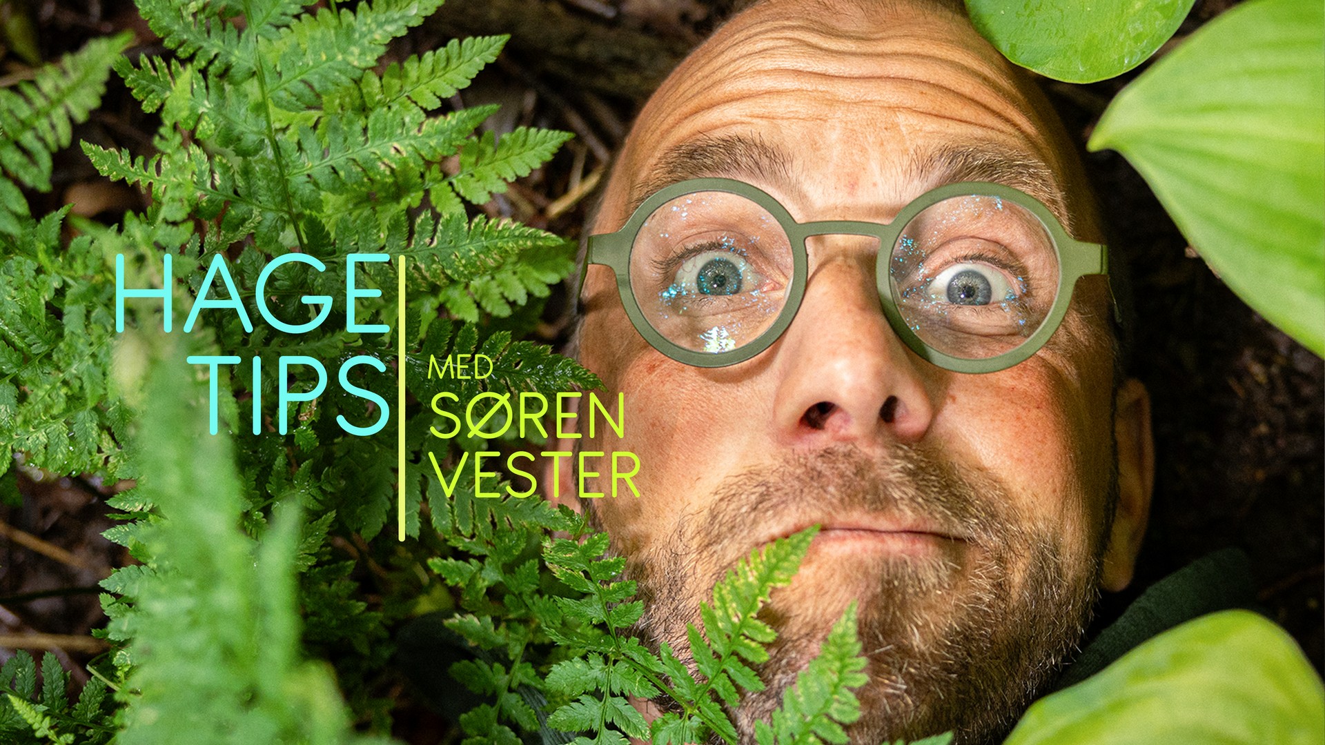 Hagetips med Søren Vester - NRK TV
