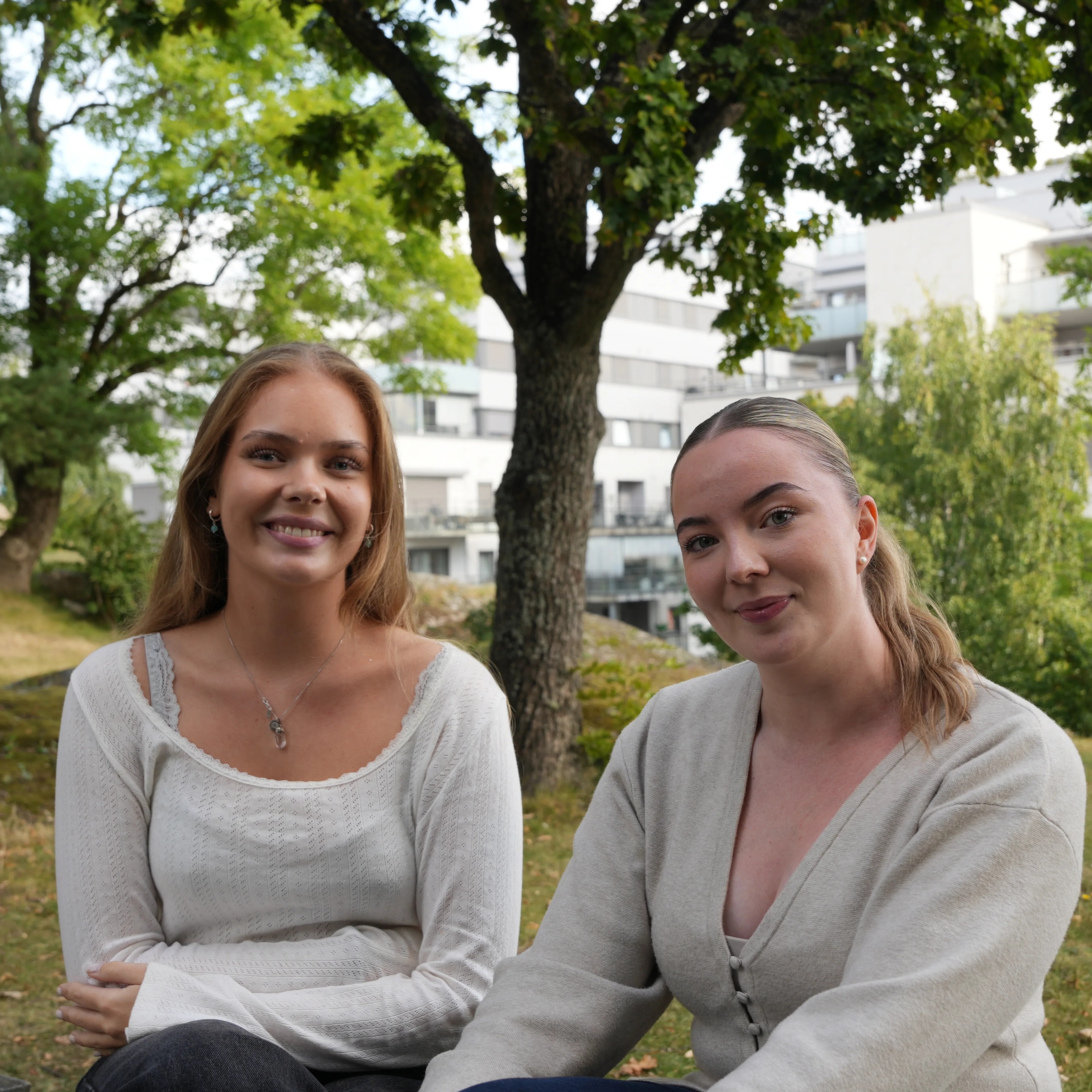 Studenter som gjør skole