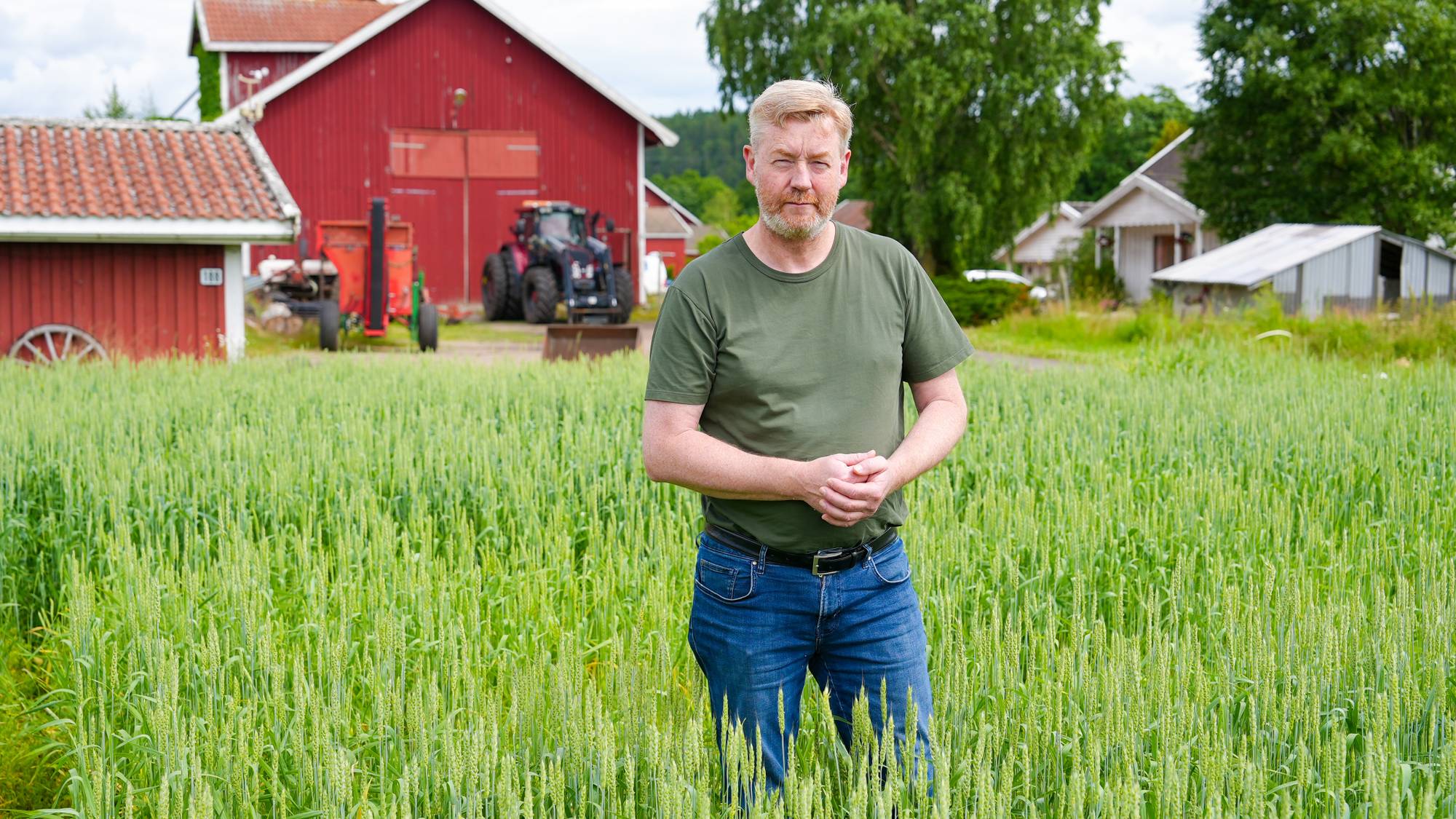 en mann som står på en gresseng med en rød låve i bakgrunnen (Bildebeskrivelsen er laget av en KI-tjeneste)
