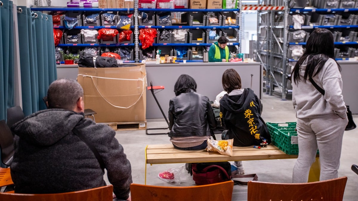 Nav-sjef om støtte til ukrainere: – Må godt over 500.000 i årslønn