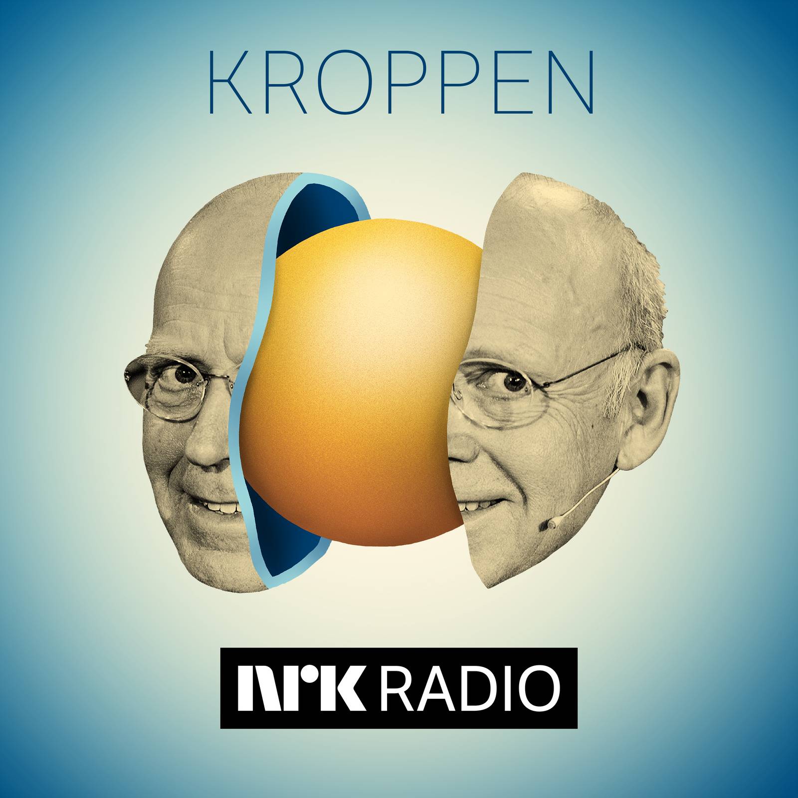 Kroppen
