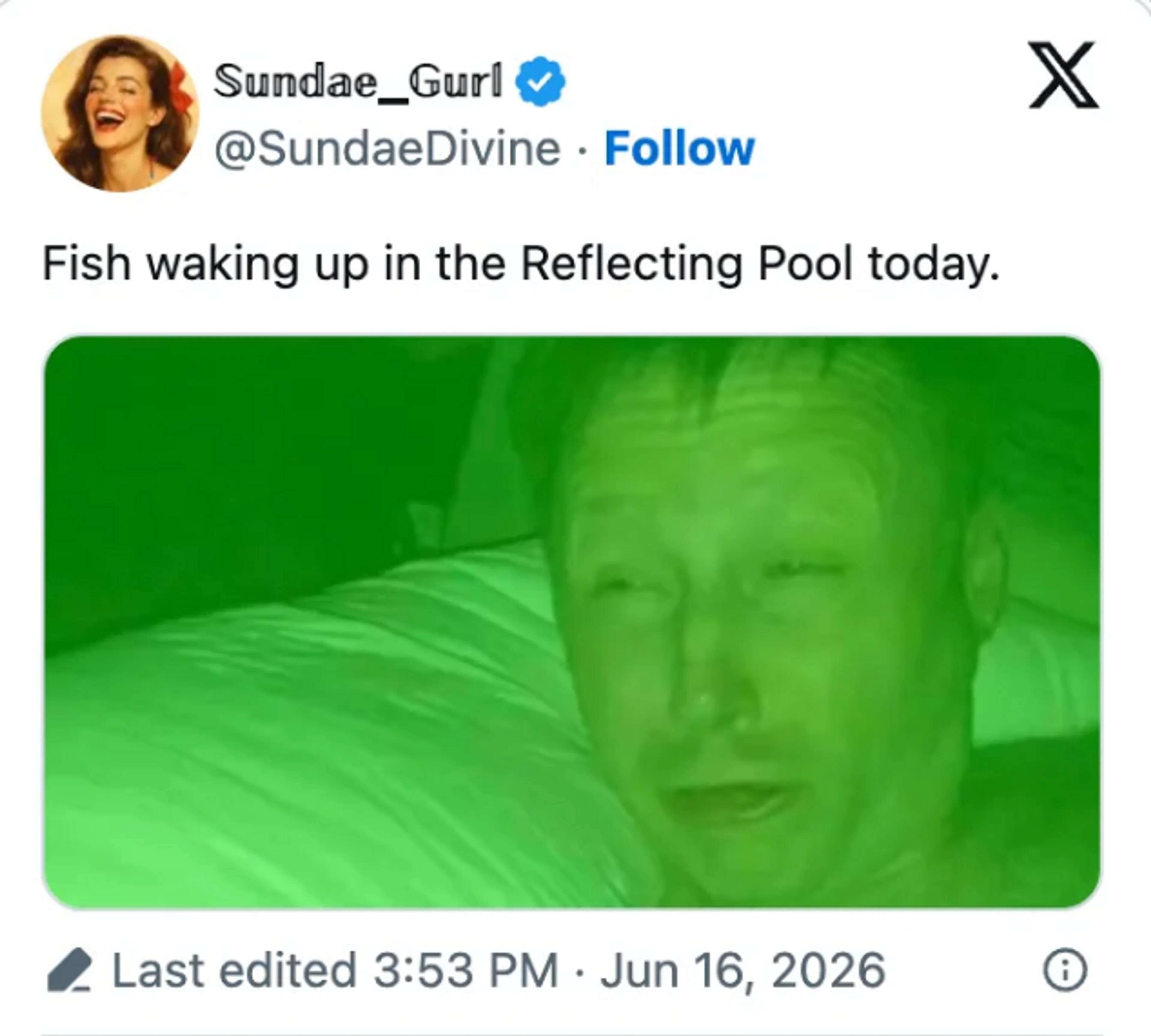 X-post med bilde av en mann i helt grønt lyst med teksten "Fish waking up in the Reflecting Pool today"