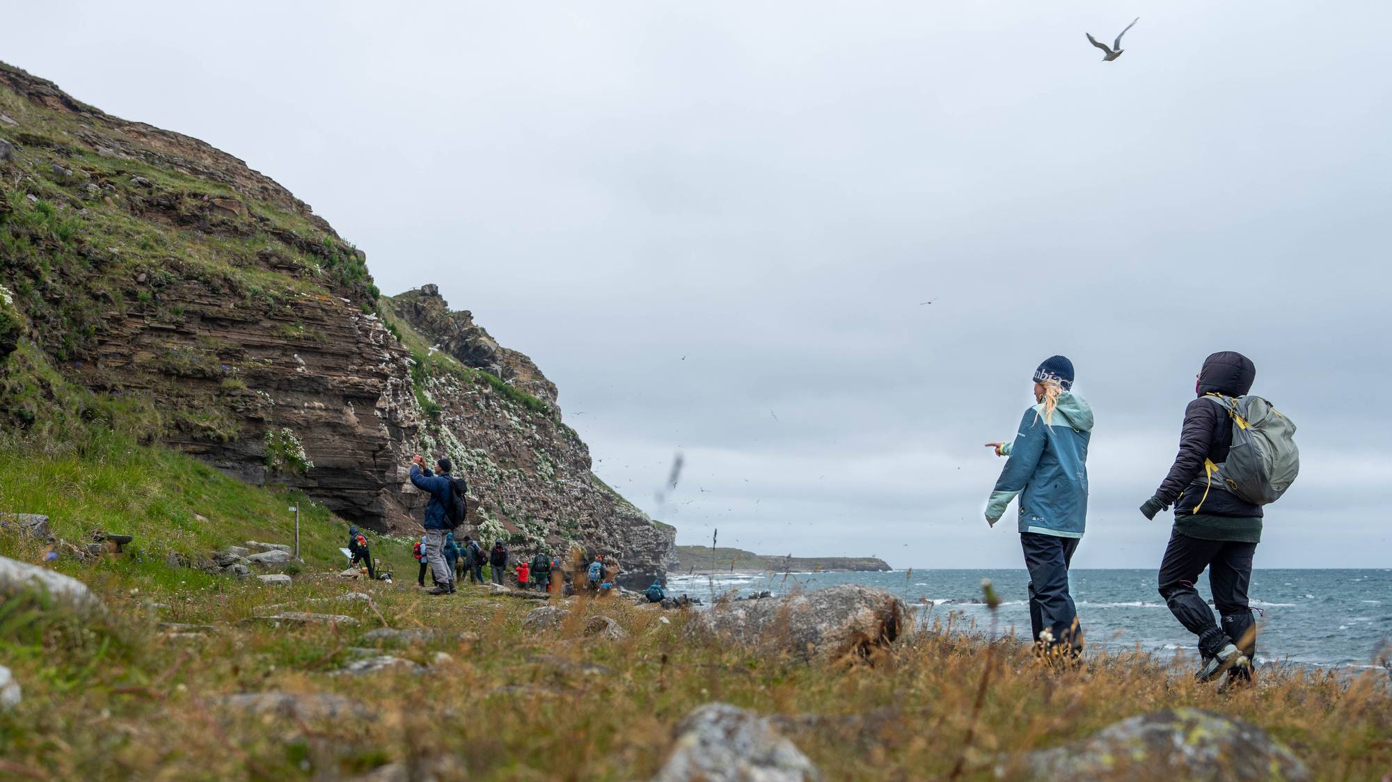 Tjekkiske fugletittere er på ferie i Varanger. Her ved fuglefjellet på Ekkerøy. 
