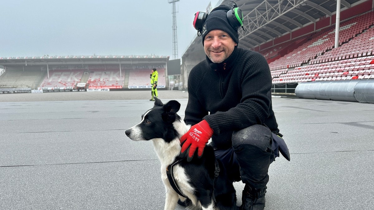 Hunden Kaos (2) har 53 reisedøgn i året: – Det lukter rekord!