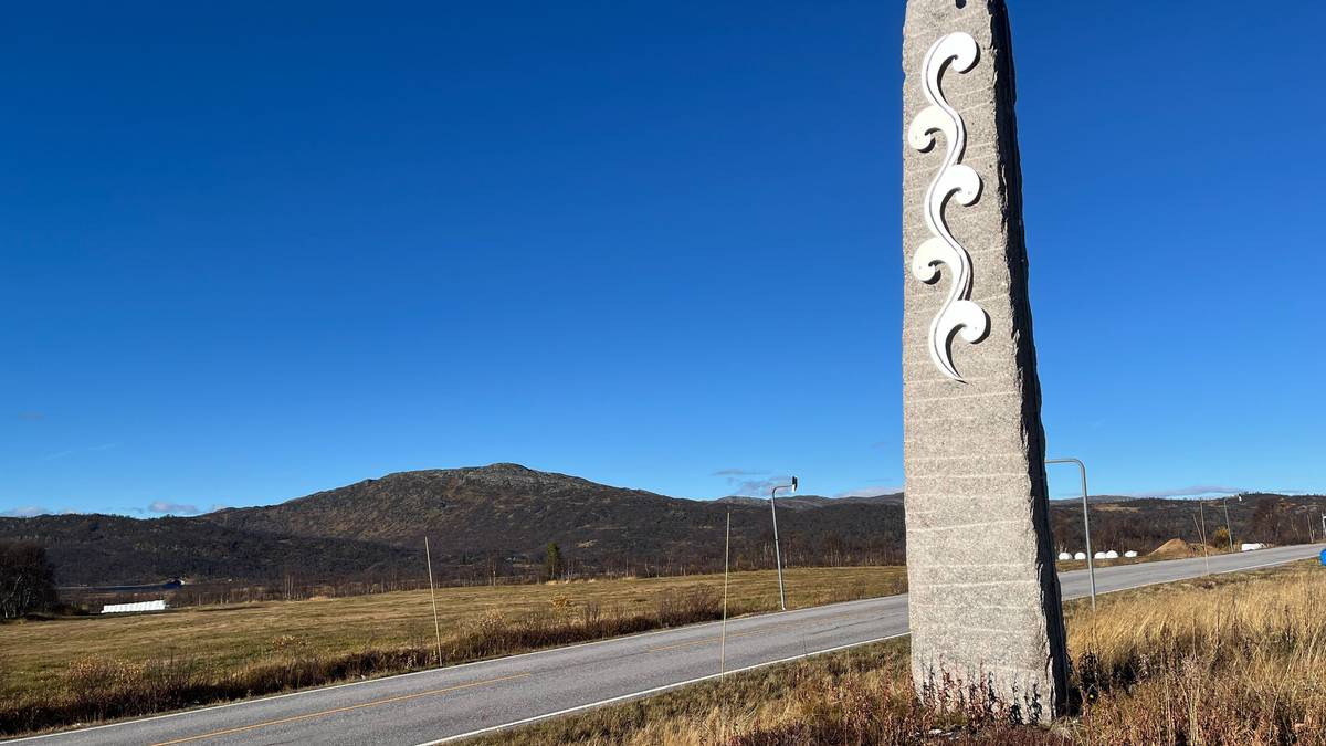 Foreslår å bygge tunnel for villreinen