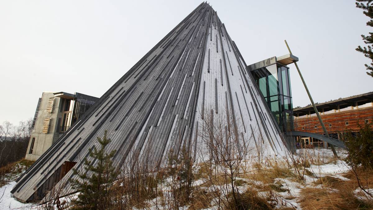 Ble bedt om å samkjøre – leide i stedet 19 biler