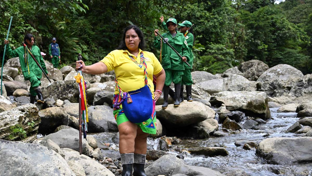 Raftoprisen 2026 til miljø- og menneskerettsgruppe i Colombia