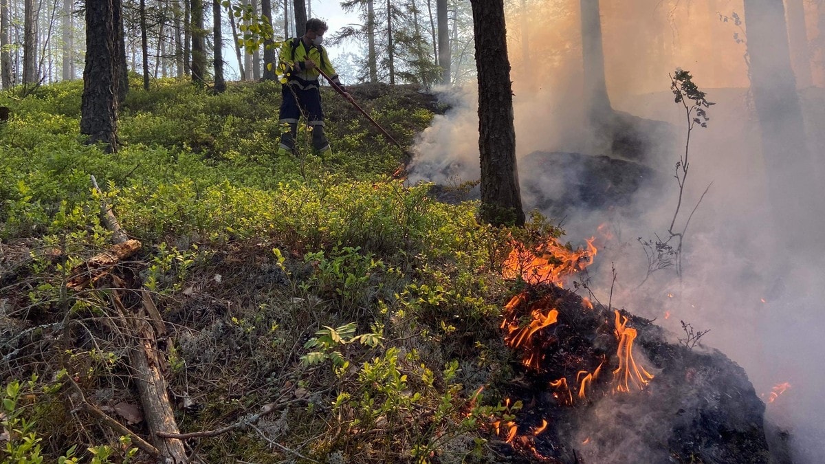 Brannvesenet om storbrannen i Indre Østfold: – Vi har noenlunde kontroll