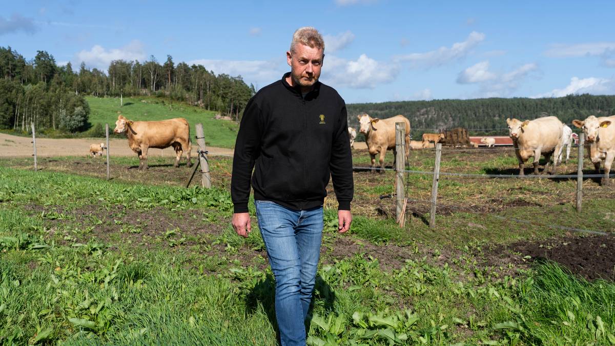 Bondelaget kritisk til matprisene – nå varsler regjeringen flere tiltak