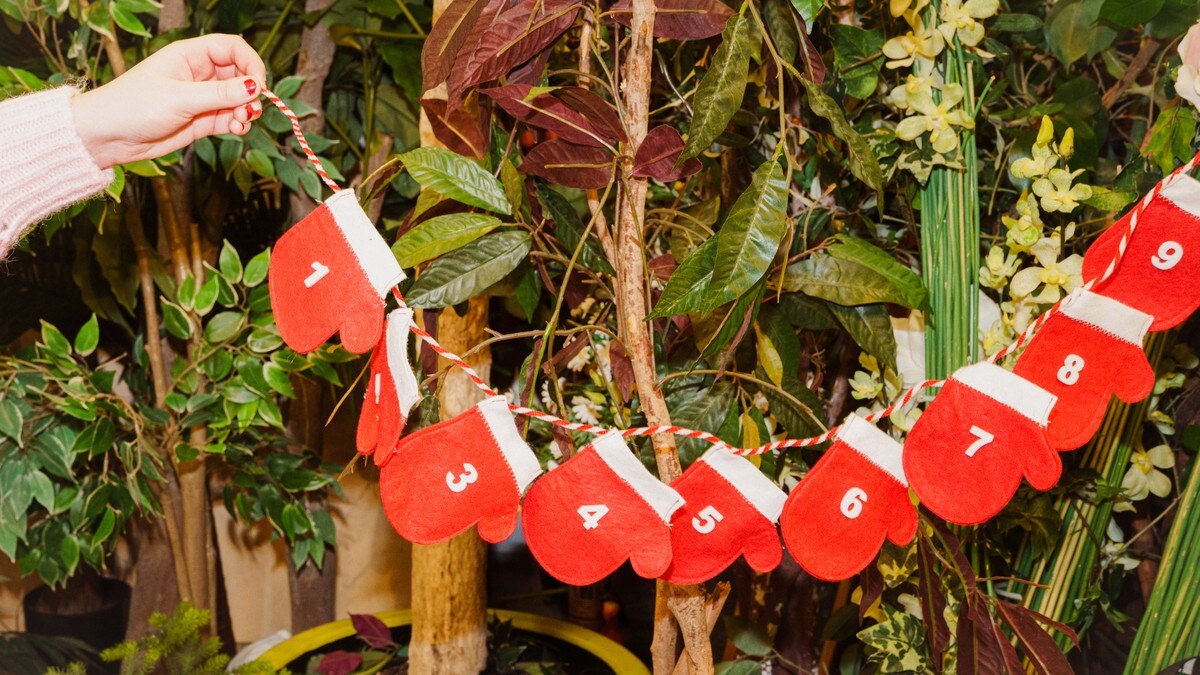 Derfor har du adventskalender