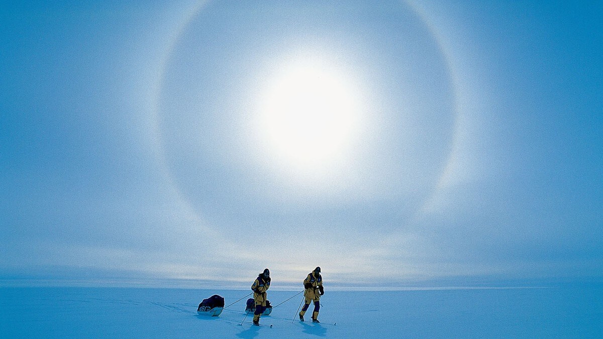 Kan det bli du som drar pulken til Sørpolen i Amundsens fotspor?