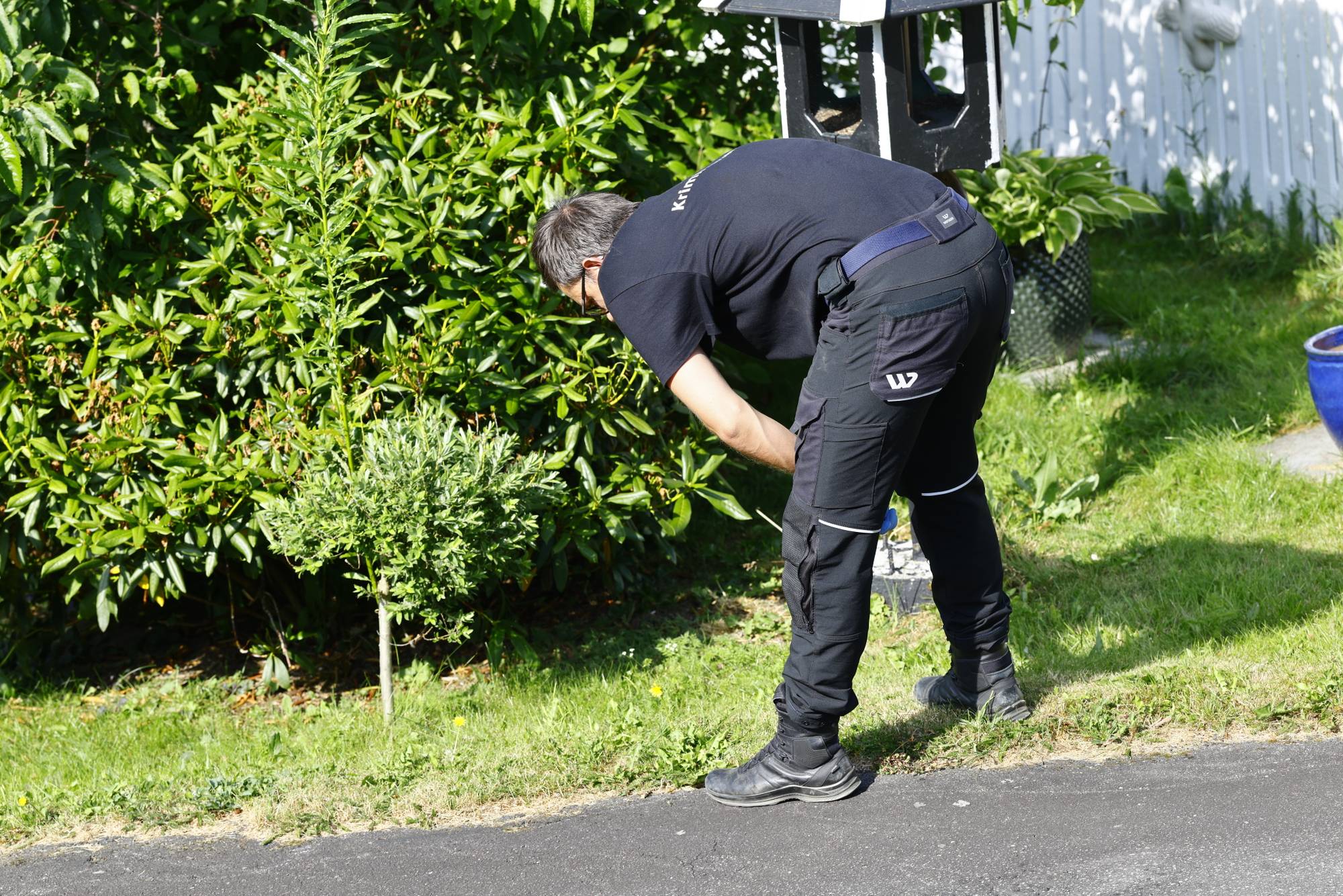 Krimtekniker undersøker et område i en hage. Personen er bøyd over buskas ved en asfaltert vei. (Bildebeskrivelsen er laget av en KI-tjeneste)