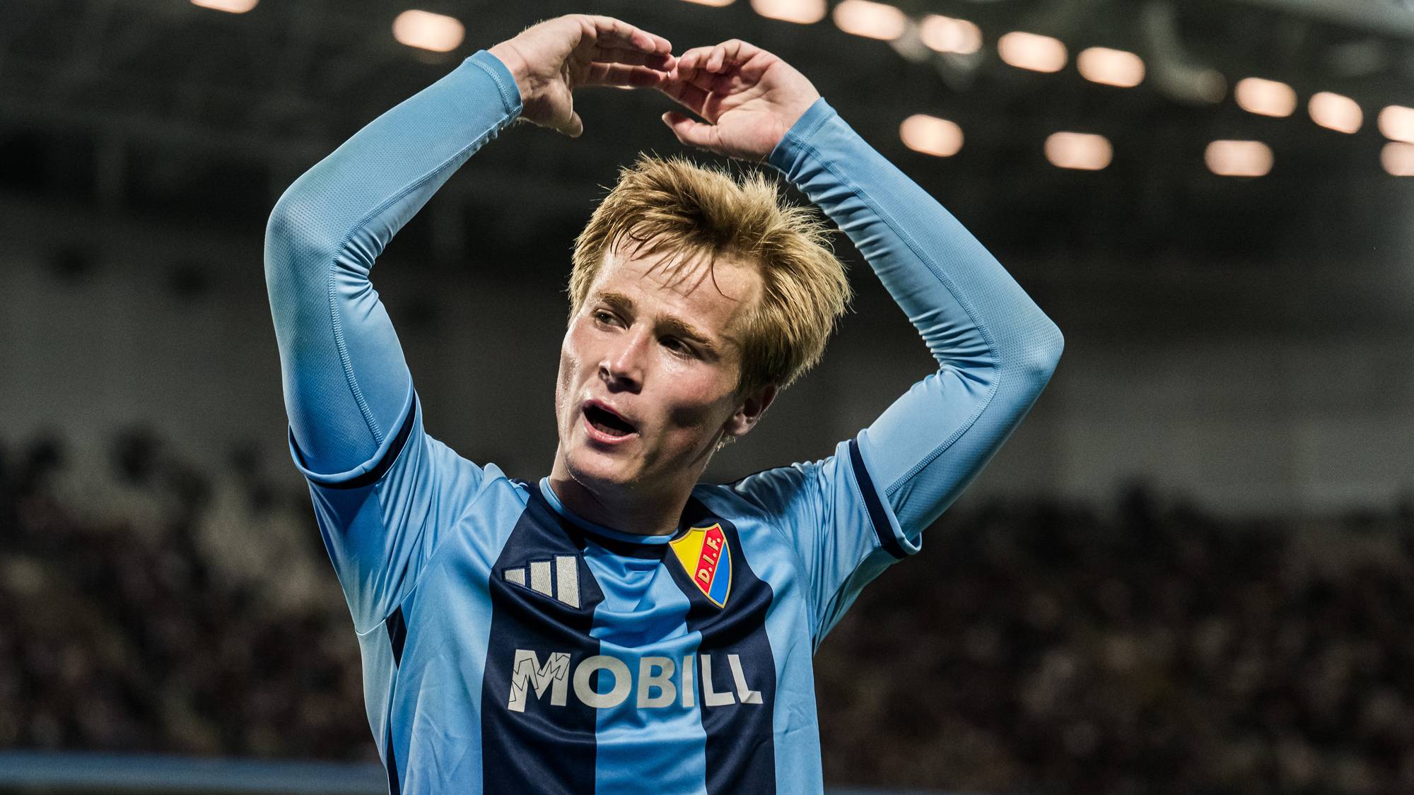Djurgårdens Bo Hegland