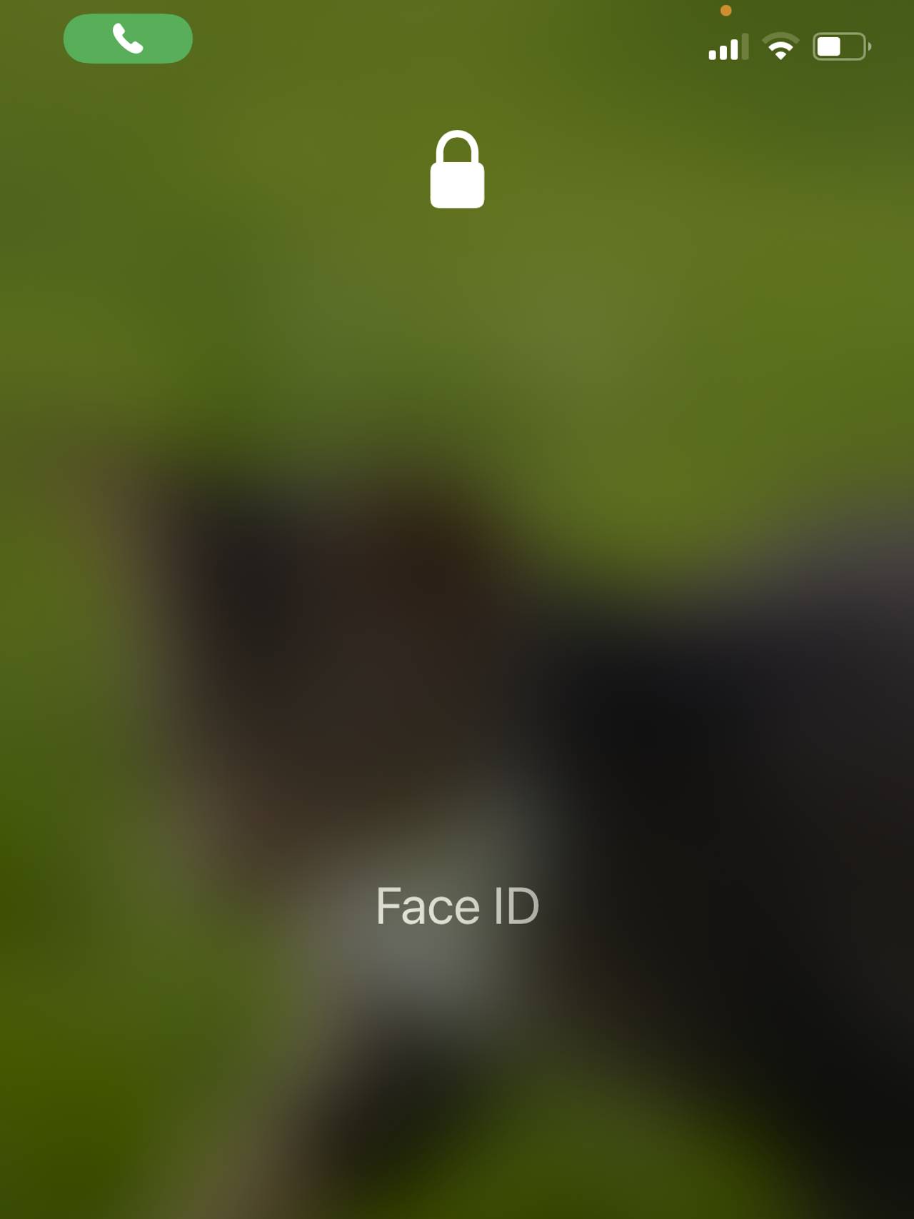 Face ID