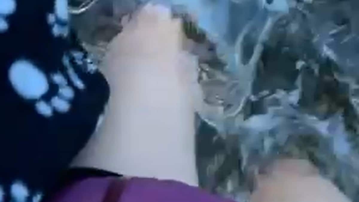 No stig vatnet – måtte vasse til dyrlegen