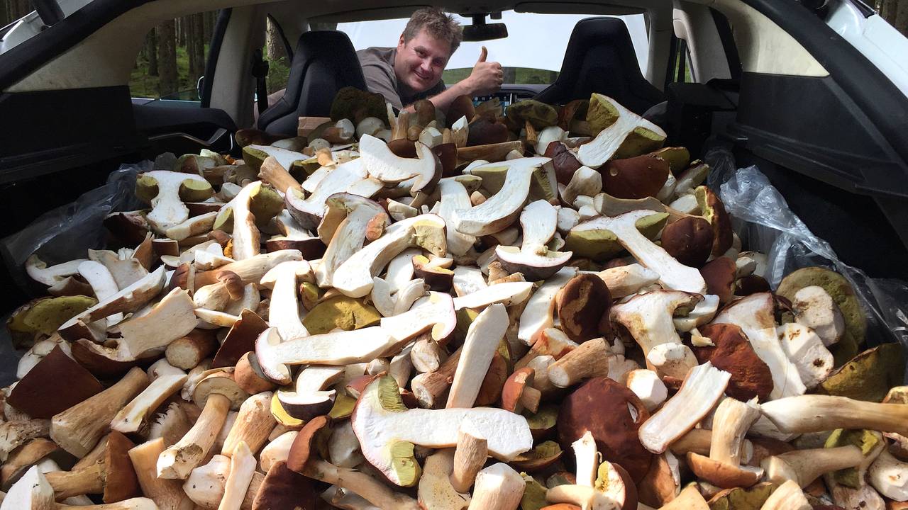 Tommy Østhagens fylte bilen med sopp