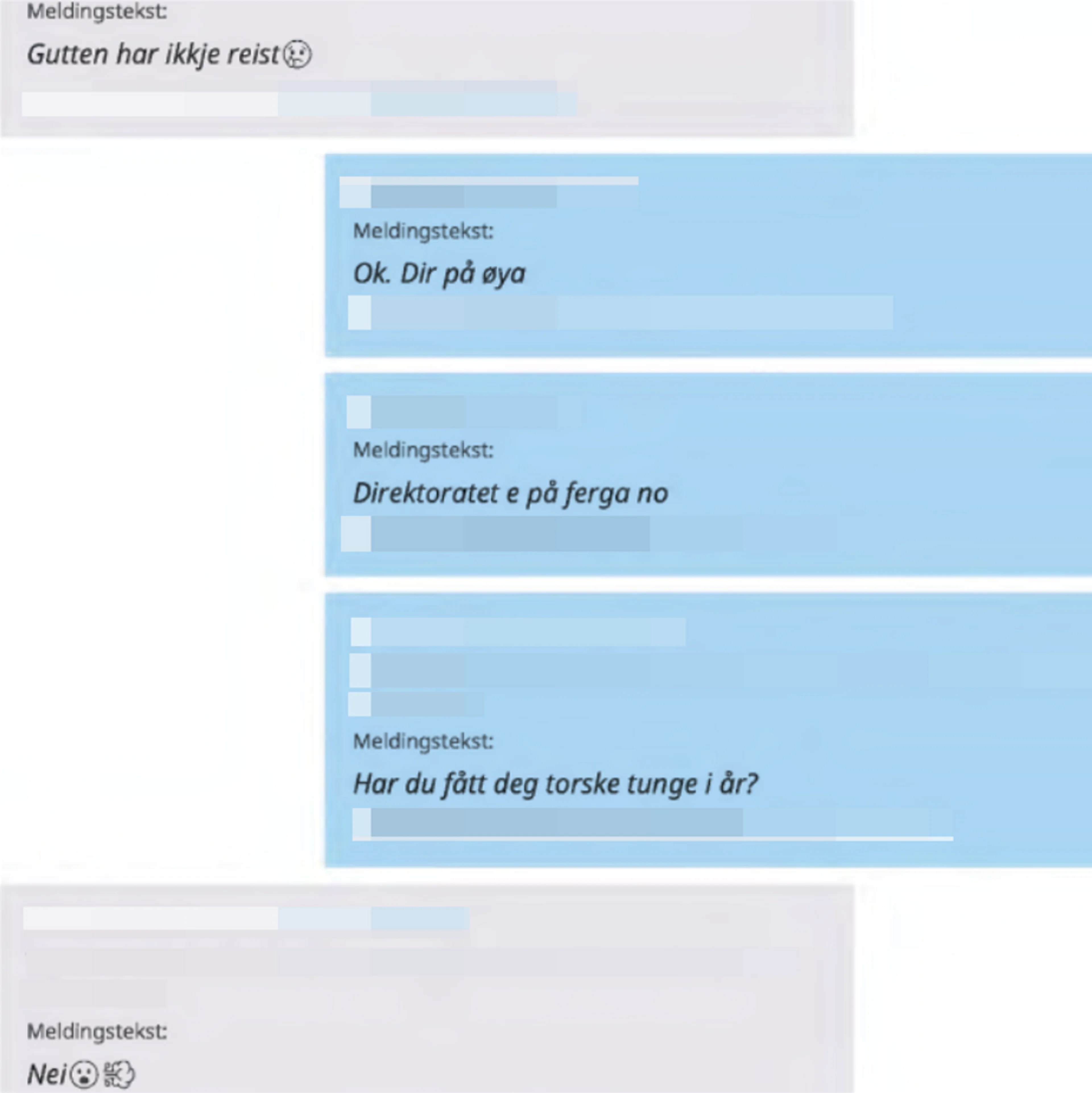 En chattelogg der to personer snakker om at direktoratet er på besøk på kaia. Bildene er anonymisert.