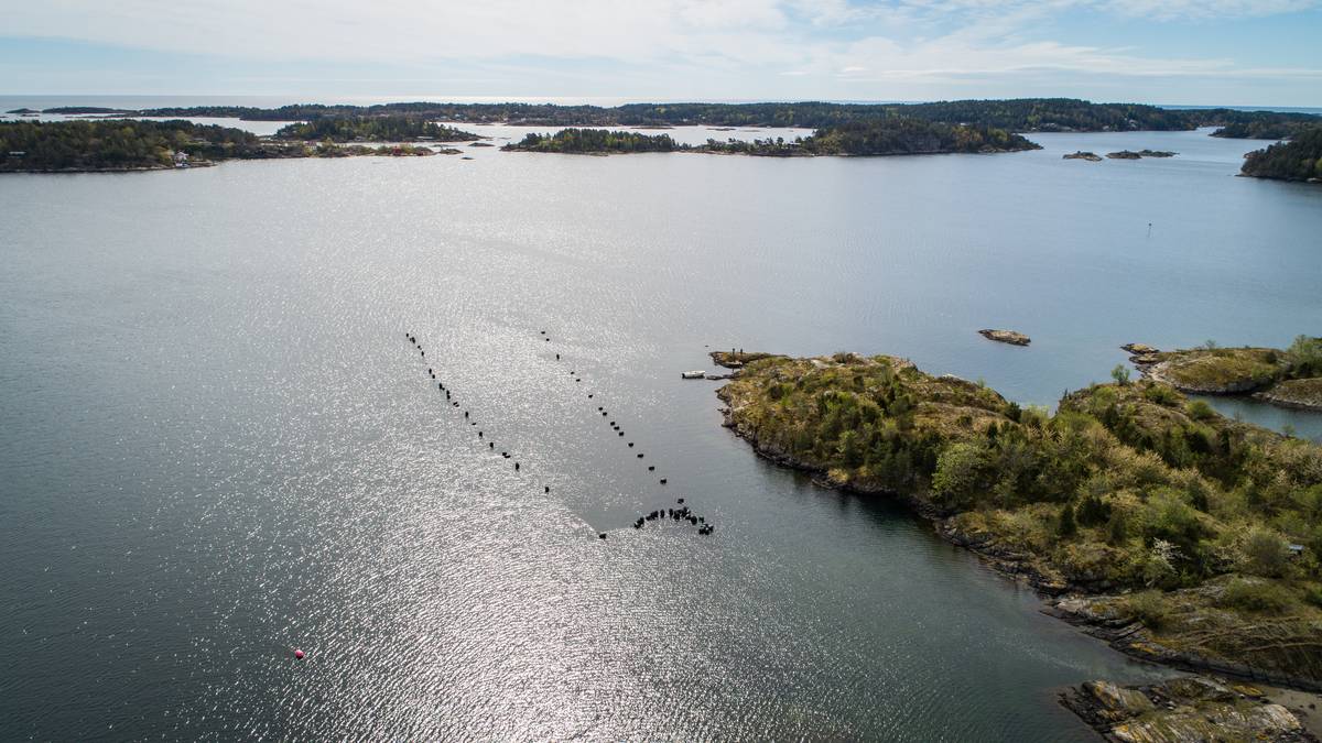 Oppdrettskommuner får statsstøtte