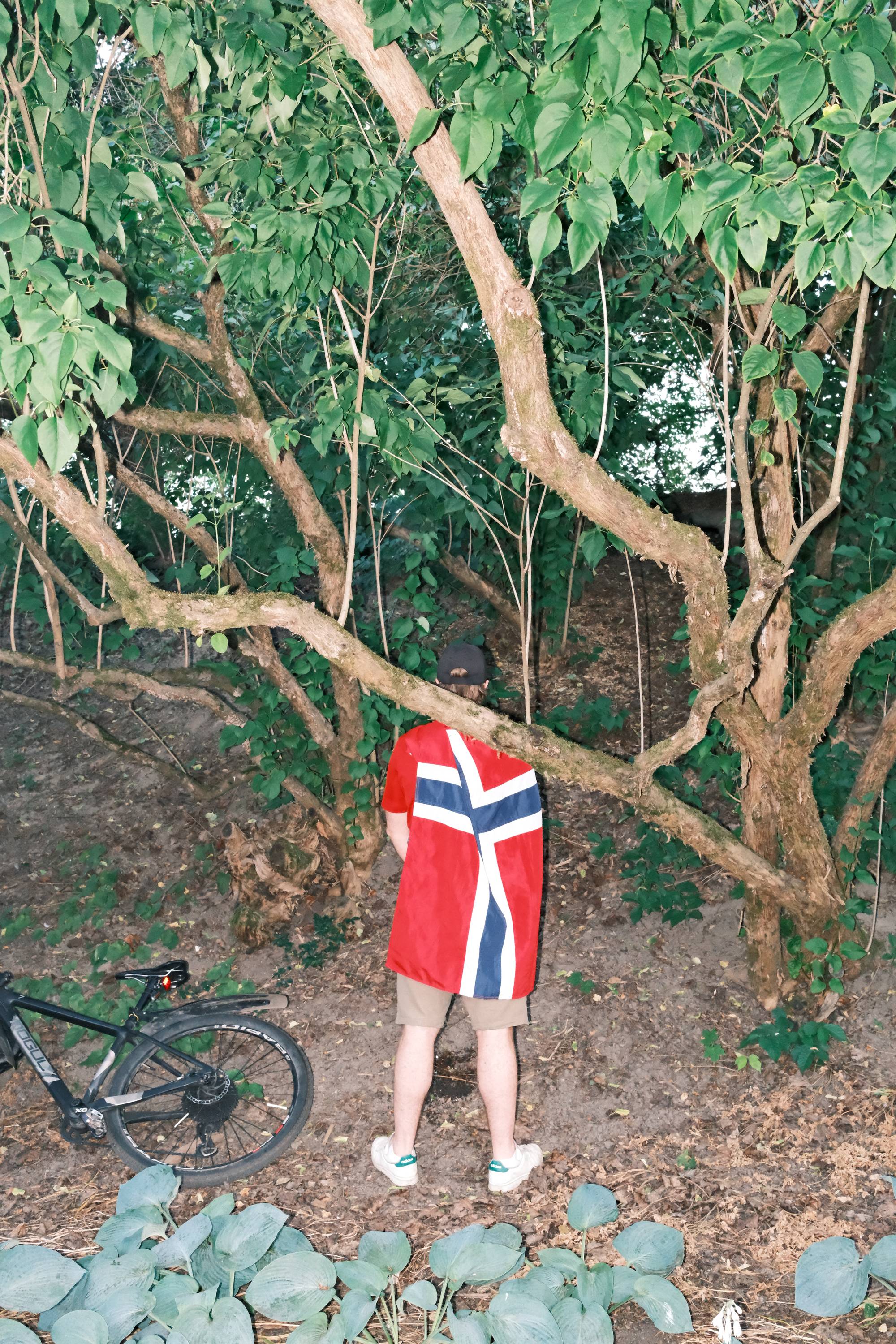 Person med norsk flagg som kappe står i en skog med en sykkel ved siden av seg. 