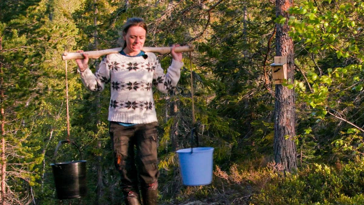 Ni tips for å overleve der ingen skulle tru at nokon kunne bu – NRK Vestland