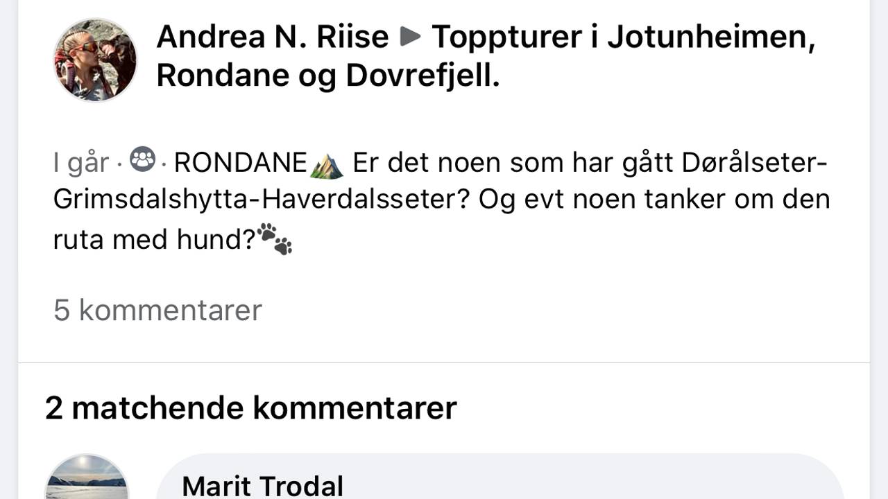 Skjermdump