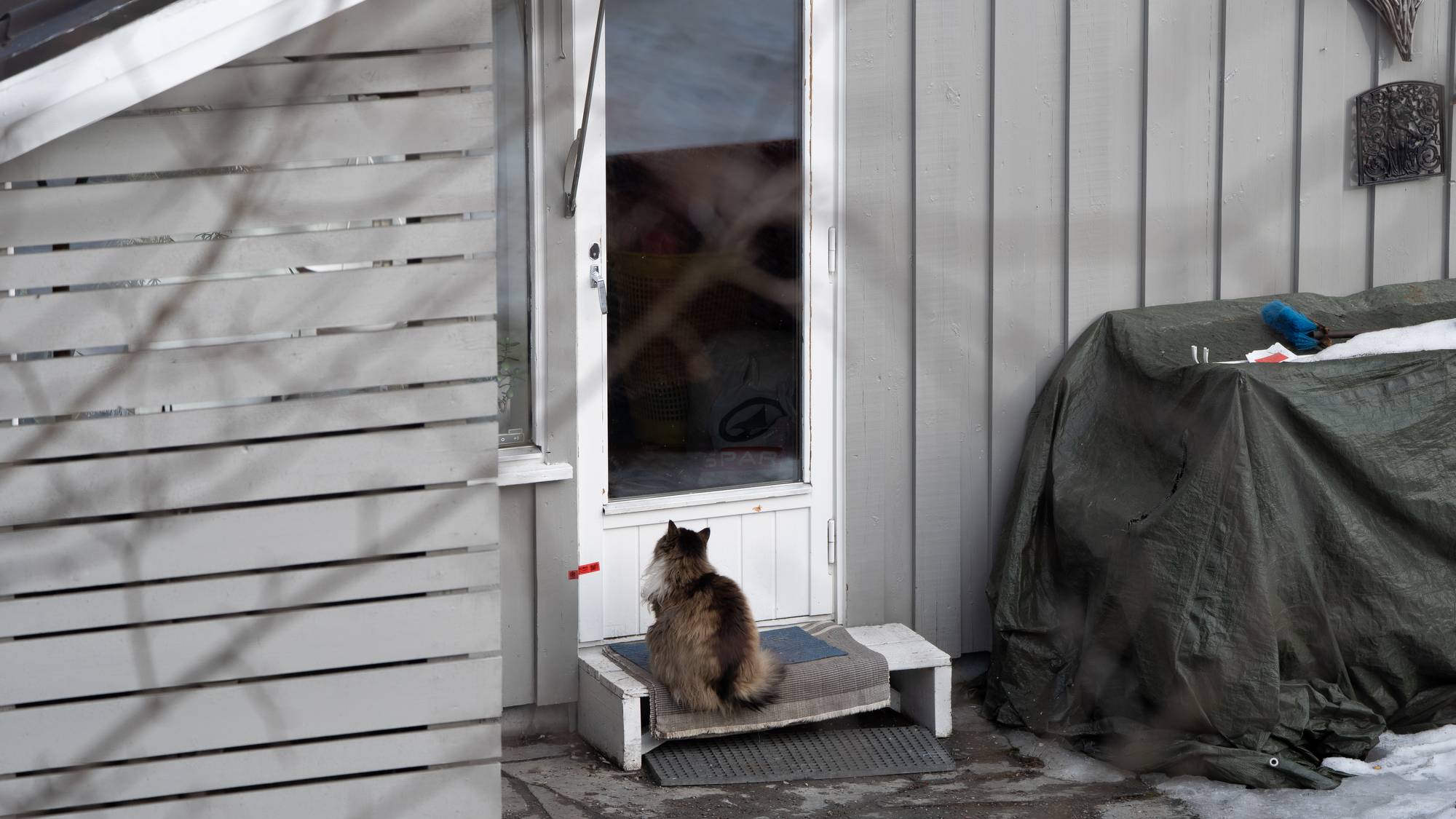 To av de tiltalte skal ha kommet seg inn i boligen gjennom verandadøren.