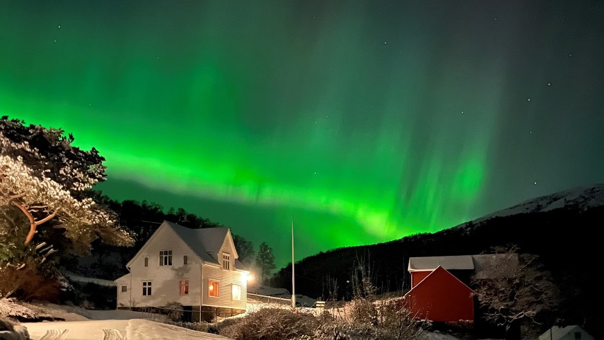 2025 starter med nordlys over hele Norge