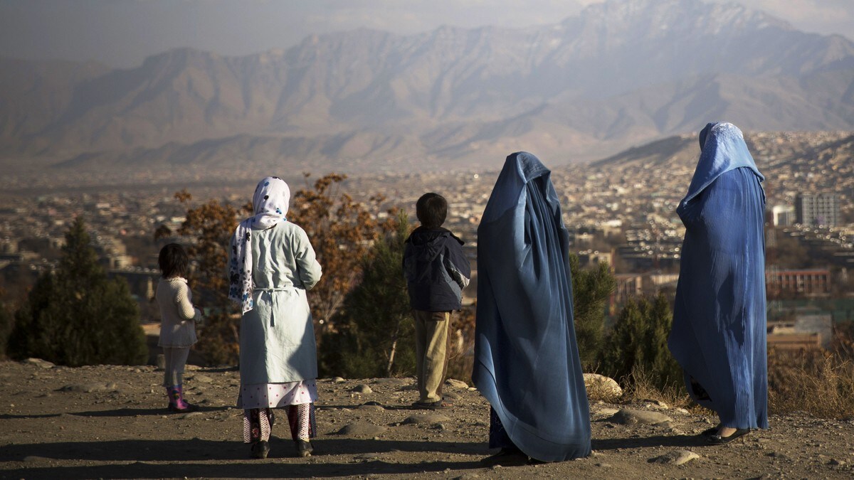 Taliban-forhandlinger