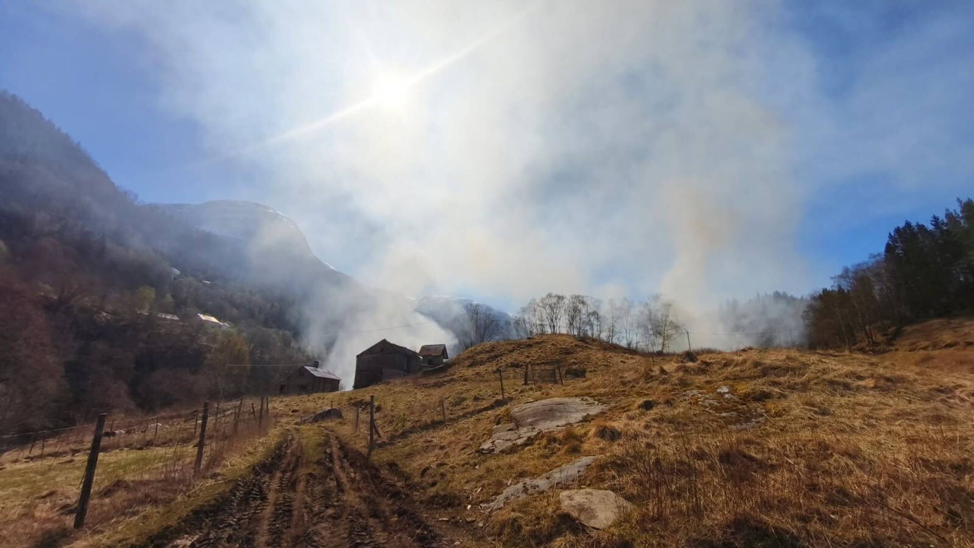 synleg røyk frå ein grasbrann 